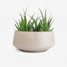 Grass Pots