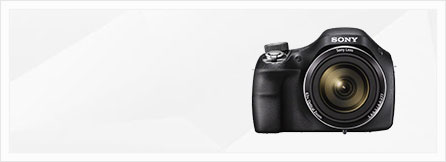 Cms-Banner3.jpg