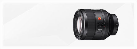 Cms-Banner4.jpg