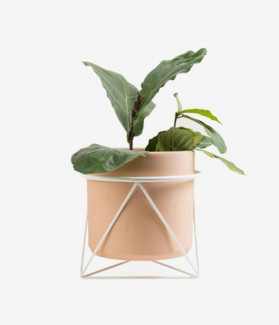 Arcu Vitae Imperdiet Facilisis