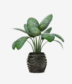 Justo Neque Commodo Nisl