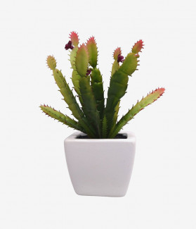 Aminatiom Descentation