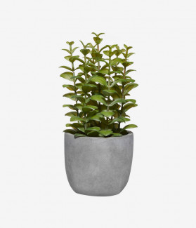 Integer Tempor Lacus Eget