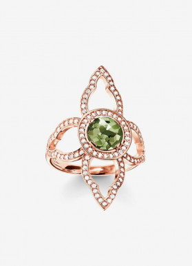 Nascetur ridiculus mus