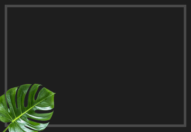 Cms-banner-2.jpg