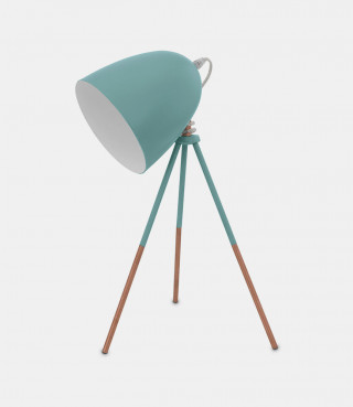 Integer Tempor Lacus Eget