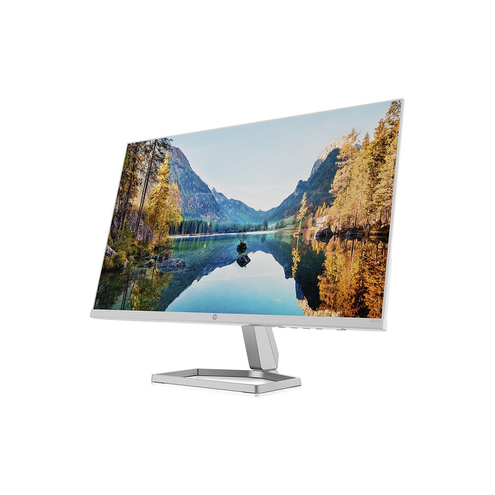 HP (23.8 Inch) with IPS Panel Technology