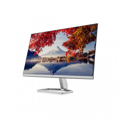 HP (23.8 Inch) with IPS Panel Technology